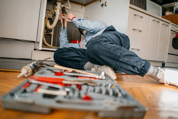 Best Drain Cleaning Services  in Astor, FL