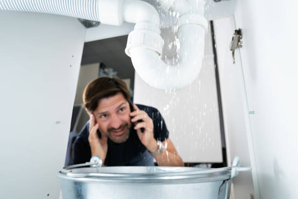 Best Commercial Plumbing Services  in Astor, FL