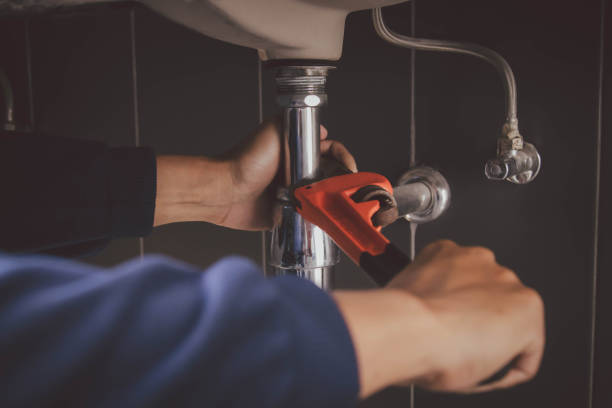 Best Local Plumber Services  in Astor, FL